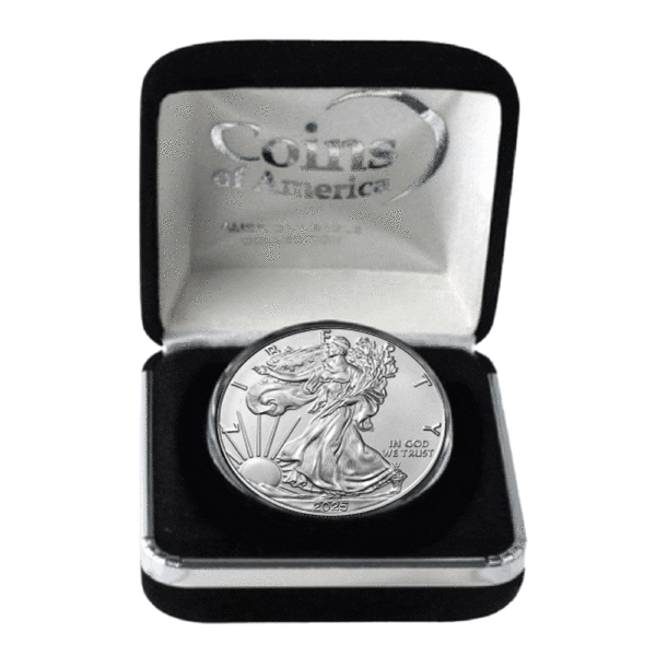 2025 Silver Eagle Black Box